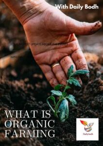 Read more about the article What is Organic Farming 16 steps